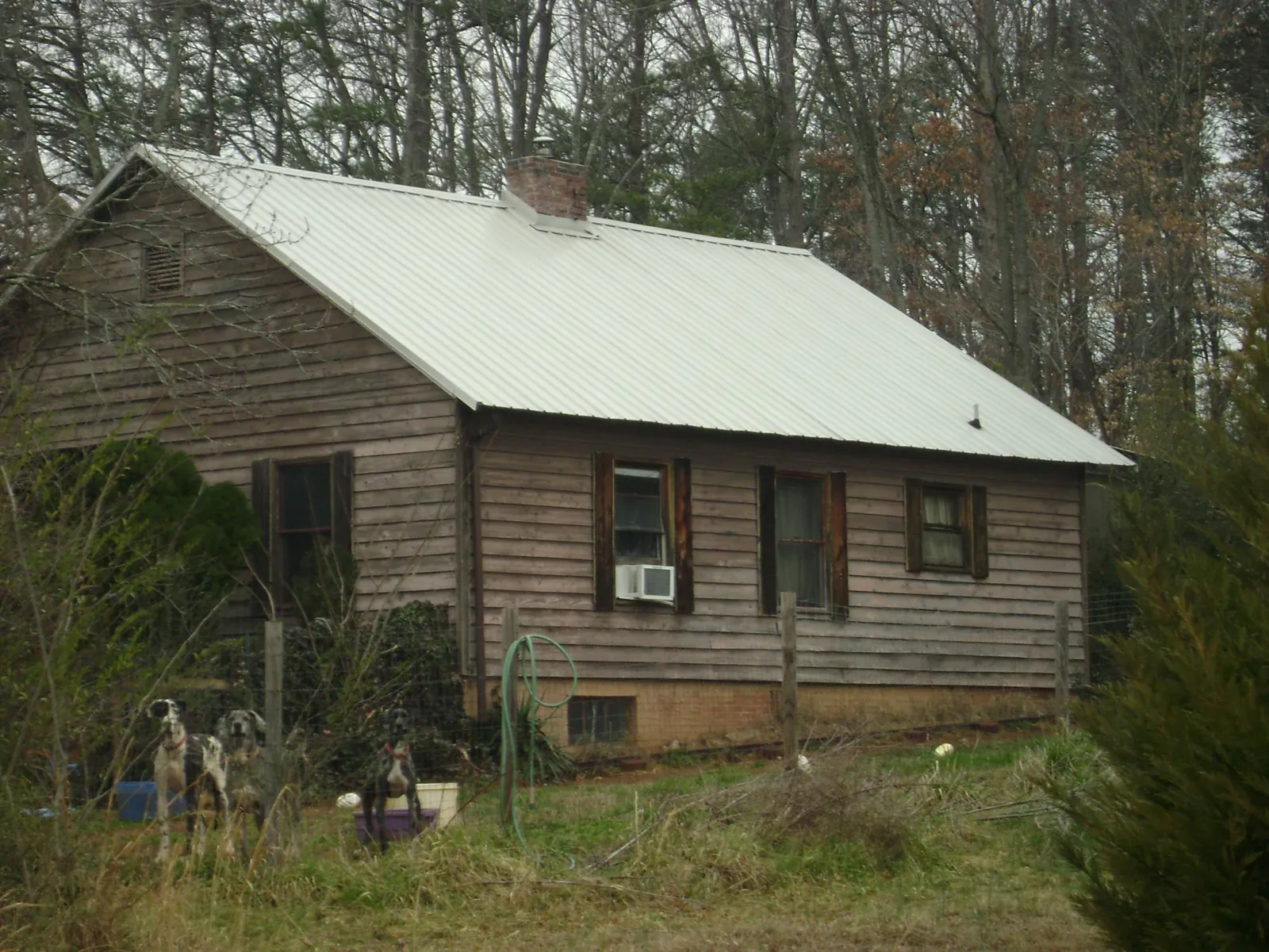 White metal roof on an old wood sided farmhouse, from a Asphalt Shingle Roof Repair job in Pinellas Park